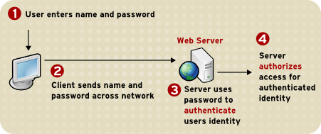 Figure 4. Using a Password to Authenticate a Client to a Server
