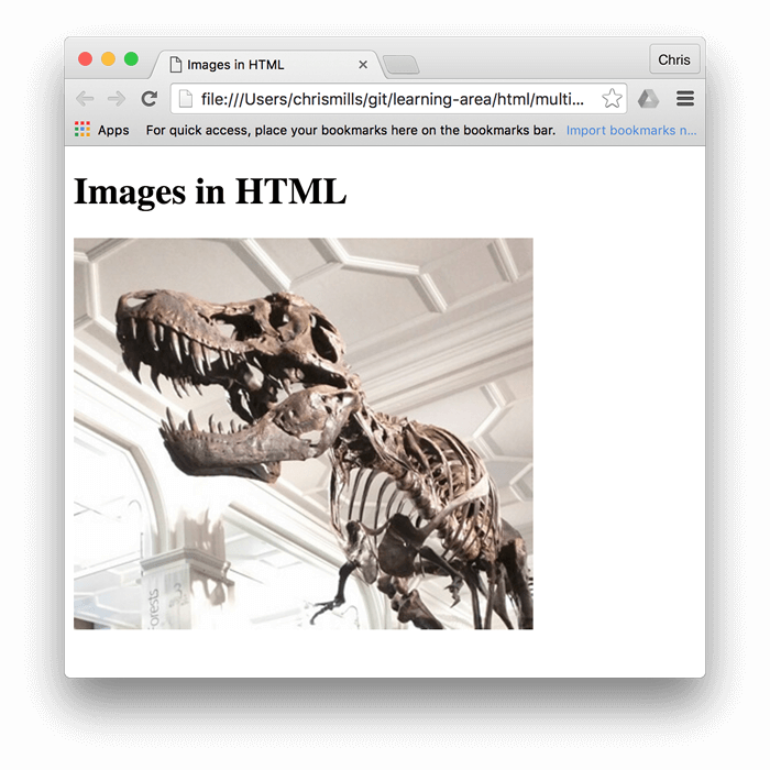 A basic image of a dinosaur, embedded in a browser, with "Images in HTML" written above it