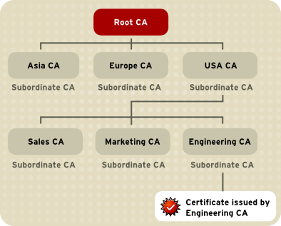 Figure 6. Example of a Hierarchy of Certificate Authorities
